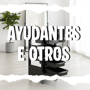 AYUDANTE Y OTROS